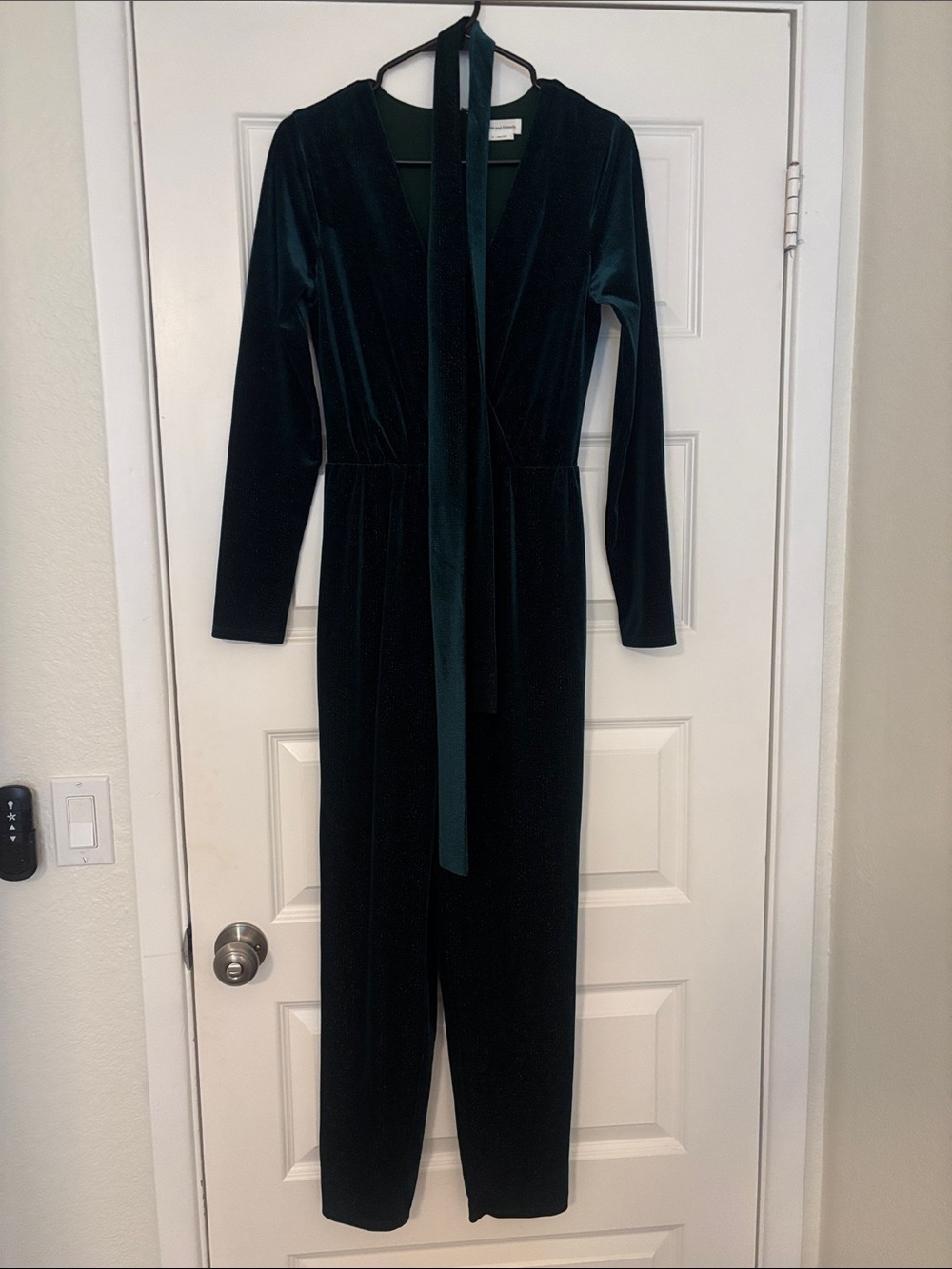 Lovers + Friends Emerald Velvet Long-Sleeve Jumpsuit with Belt